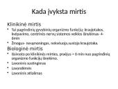 Skaidrės - pirmoji pagalba 3 puslapis