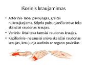 Skaidrės - pirmoji pagalba 7 puslapis