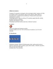 Endodontija 5 puslapis