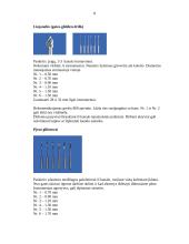 Endodontija 8 puslapis