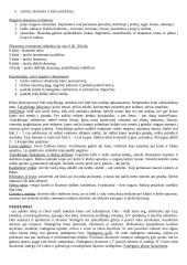 Ergoterapija 11 puslapis