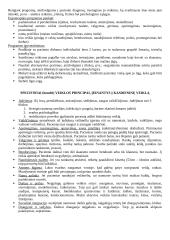 Ergoterapija 3 puslapis