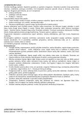 Ergoterapija 4 puslapis