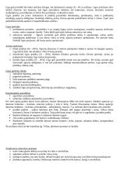 Ergoterapija 8 puslapis