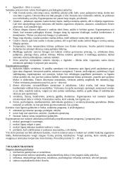 Ergoterapija 10 puslapis