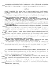 Etnologijos teorijos 3 puslapis