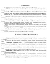 Etnologijos teorijos 4 puslapis
