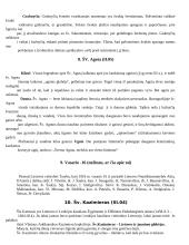 Etnologijos teorijos 7 puslapis