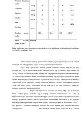 Mano mitybos dienoraštis 4 puslapis