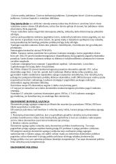 Europos Bendrijos (EB) bendrosios rinkos teisė 3 puslapis