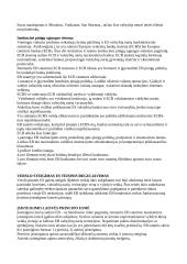 Europos Bendrijos (EB) bendrosios rinkos teisė 5 puslapis