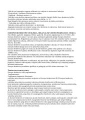 Europos Bendrijos (EB) bendrosios rinkos teisė 9 puslapis