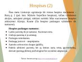 Paliatyviosios pagalbos pagrindiniai aspektai 10 puslapis