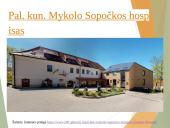 Paliatyviosios pagalbos pagrindiniai aspektai 11 puslapis