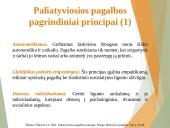 Paliatyviosios pagalbos pagrindiniai aspektai 12 puslapis