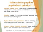 Paliatyviosios pagalbos pagrindiniai aspektai 13 puslapis