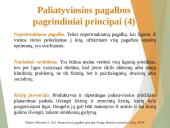 Paliatyviosios pagalbos pagrindiniai aspektai 15 puslapis
