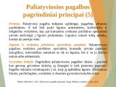 Paliatyviosios pagalbos pagrindiniai aspektai 16 puslapis