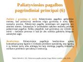 Paliatyviosios pagalbos pagrindiniai aspektai 17 puslapis