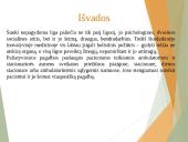 Paliatyviosios pagalbos pagrindiniai aspektai 20 puslapis