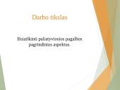Paliatyviosios pagalbos pagrindiniai aspektai 3 puslapis