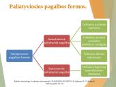 Paliatyviosios pagalbos pagrindiniai aspektai 6 puslapis