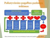 Paliatyviosios pagalbos pagrindiniai aspektai 8 puslapis