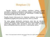Paliatyviosios pagalbos pagrindiniai aspektai 9 puslapis