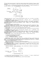 Farmakologijos teorija 15 puslapis