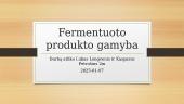 Fermentuoto produkto gamyba