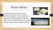 Fermentuoto produkto gamyba 2 puslapis