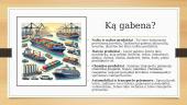 Vandens transportas. Pristatymas 6 puslapis