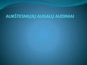 Augalų audiniai (pristatymas) 3 puslapis