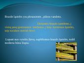 Augalų audiniai (pristatymas) 8 puslapis