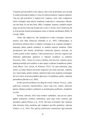 Dėl savižudybės artimojo netekusių asmenų gedulo patyrimas 17 puslapis