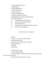 Geografijos mokymo metodika specialioje mokykloje 11 puslapis