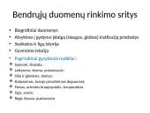 Slaugos diagnozė 2 puslapis