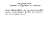 Slaugos diagnozė 11 puslapis