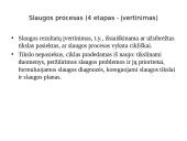 Slaugos diagnozė 12 puslapis