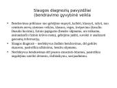 Slaugos diagnozė 20 puslapis