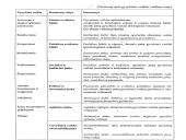 Slaugos diagnozė 4 puslapis