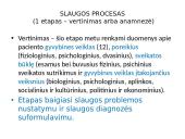 Slaugos diagnozė 9 puslapis