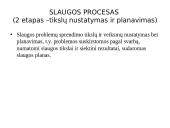 Slaugos diagnozė 10 puslapis