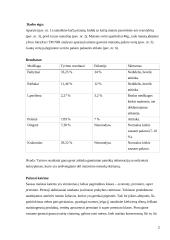 Kačių maistas kačiukams iki 12 mėnesių amžiaus ir ištirtų pašarų palyginimas su etiketėmis 2 puslapis