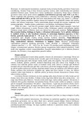 Heleninės civilizacijos teorija 2 puslapis