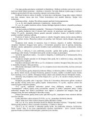 Heleninės civilizacijos teorija 11 puslapis