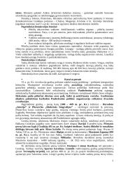 Heleninės civilizacijos teorija 5 puslapis