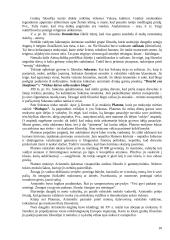 Heleninės civilizacijos teorija 10 puslapis