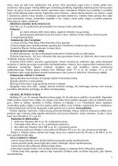 Helenistinė civilizacija 2 puslapis