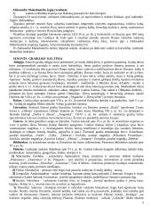 Helenistinė civilizacija 5 puslapis